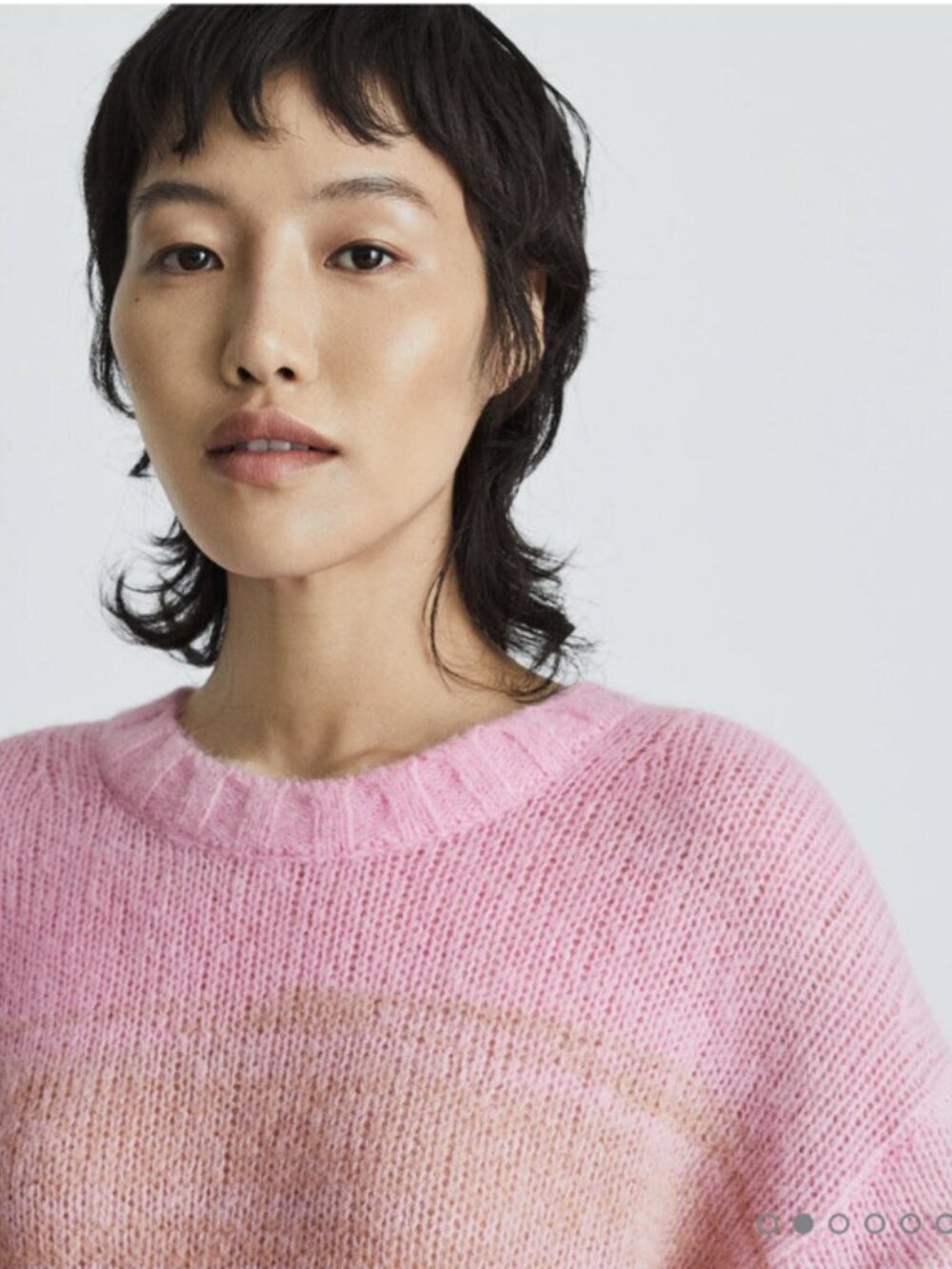 Everlane Ladies Gradient Alpaca Crew Neck Sweater Bubble Gum Pink Brown Small S